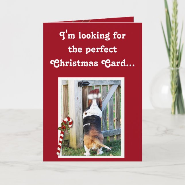 Cute-julkort med Basset, Candy cane och Snö Helgkort (Framsida)