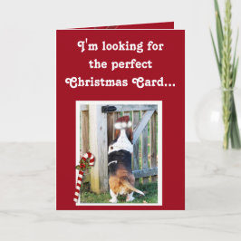 Cute-julkort med Basset, Candy cane och Snö Helgkort