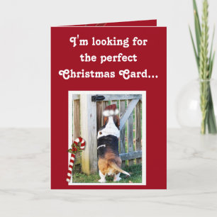 Cute-julkort med Basset, Candy cane och Snö Helgkort