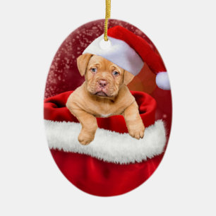 Cute Julvalp Julgransprydnad Keramik