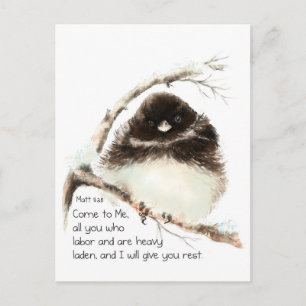 Cute Junco Bird, Scripture, Matt 11:28, Rest Vykort