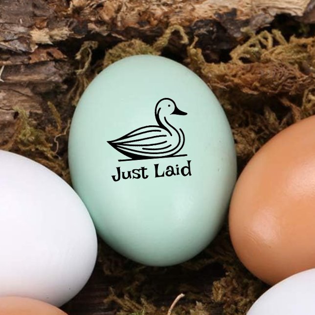 Cute ’Just Laid’ Mini anka Egg Frimärke Stämpel (Skapare uppladdad)