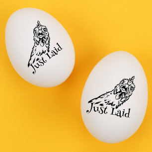 Cute ’Just Laid’ Mini Chicken Egg Frimärke Stämpel