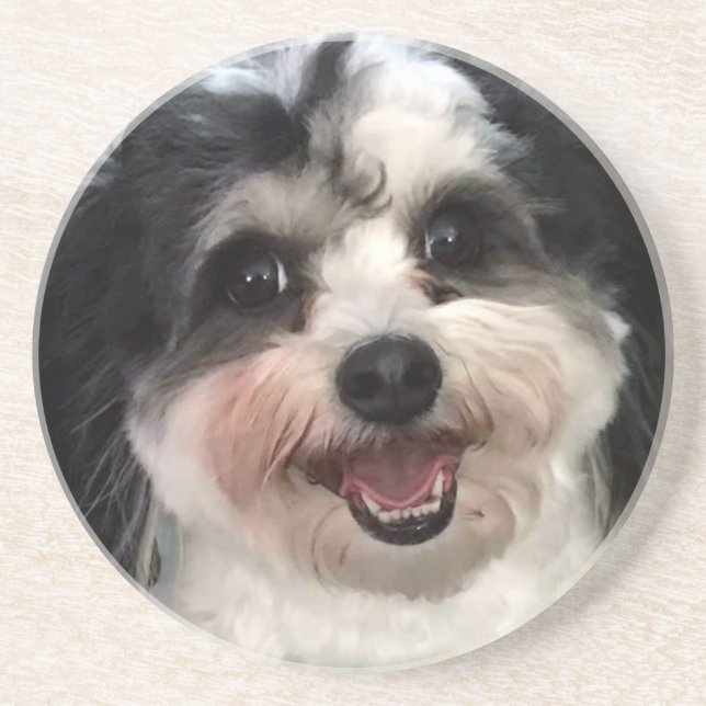 Cute K-Cee Zuchon Hund Smile 2 Underlägg (Framsidan)