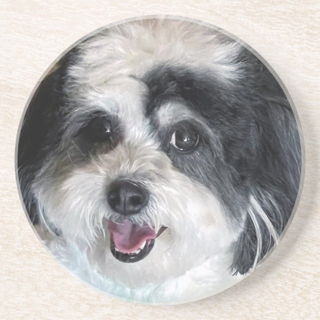 Cute K-Cee Zuchon-Hund Underlägg (Framsidan)