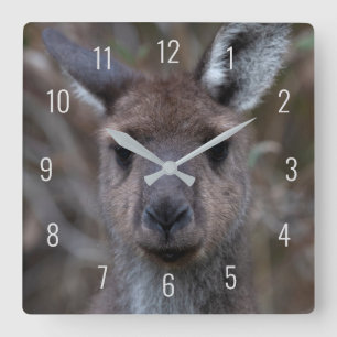 Cute Kangaroo Ansikte Close Australia Fyrkantig Klocka