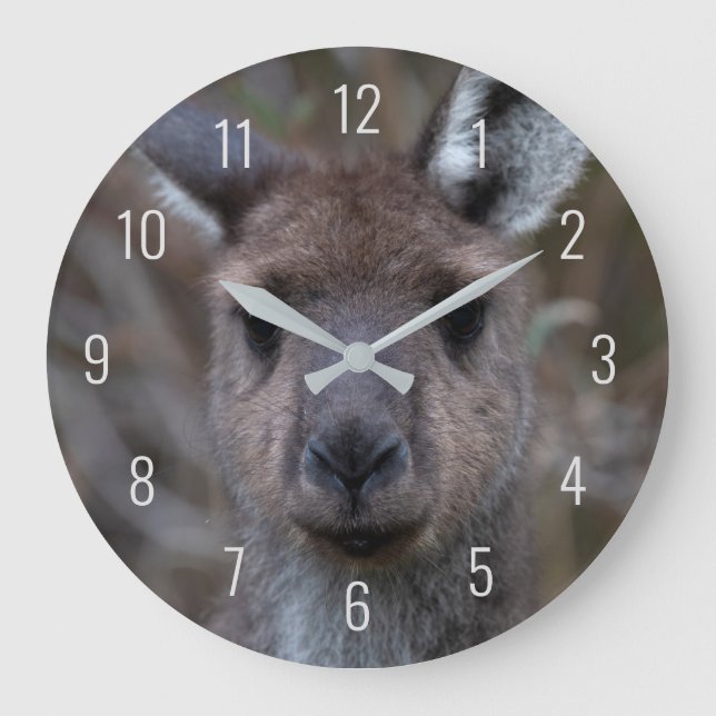 Cute Kangaroo Ansikte Close Australia Large Clock Stor Klocka (Framsida)