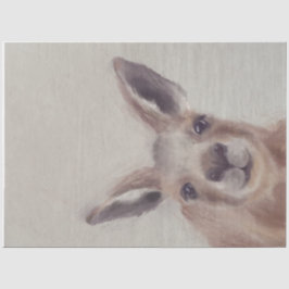 Cute Kangaroo Decoupage-vävnadsdokument