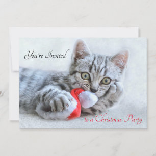 Cute Kattunge Biting a Red Santa Hat-jul Inbjudningar