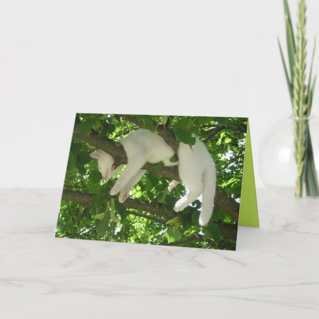 Cute Kattunge Cute Anpassade Card Kort (Framsida)