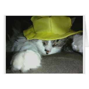 CUTE KATTUNGE HÄLSNINGSKORT