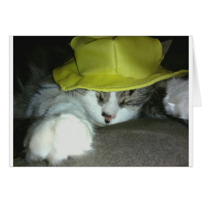 CUTE KATTUNGE HÄLSNINGSKORT (Framsidan Horizontal)