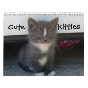 CUTE KATTUNGE-kalender Kalender