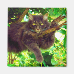 Cute Kattunge Magnet