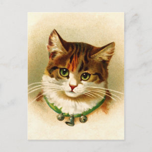 Cute kattunge med klockklack vykort