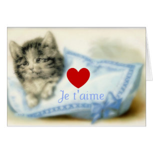 Cute kattunge med kudde och kärlek OBS kort