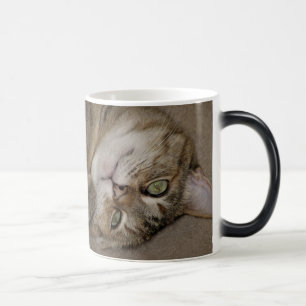 Cute Kattunge Morph Mugg
