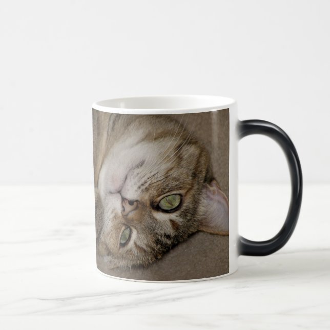 Cute Kattunge Morph Mugg (Höger)
