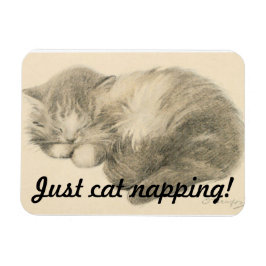 Cute Kattunge Napping Magnet