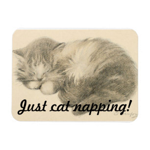 Cute Kattunge Napping Magnet