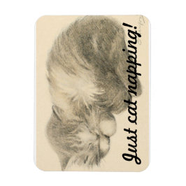 Cute Kattunge Napping Magnet
