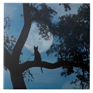 Cute Kattunge och Måne Art Tile Kakelplatta