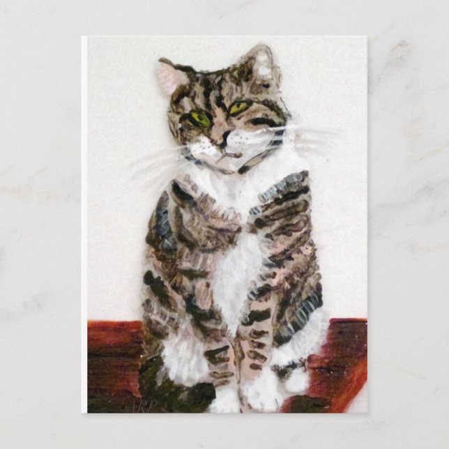 Cute Kattunge Pet Porträtt Tabby katt Vykort (Framsida)