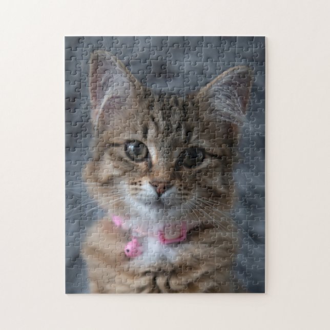 Cute kattunge porträtt, 252 delara pussel (Vertikal)