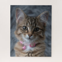 Cute kattunge porträtt, 520 delarare