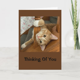 Cute Kattunge tänker på dig Kort