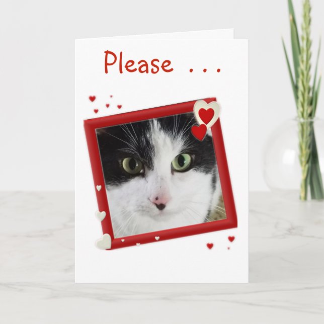 Cute Kattunge Valentine Helgkort (Framsida)