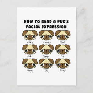 Cute Kawaii Tecknad Pug Funny Postcard Vykort