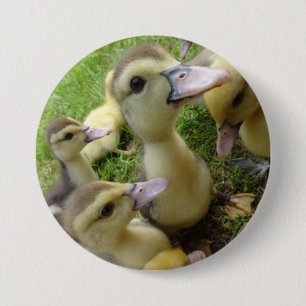 Cute Kids Ducklings Baby Anka Vår Boskap Knapp