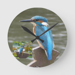 Cute Kingfisher Round Clock Rund Klocka