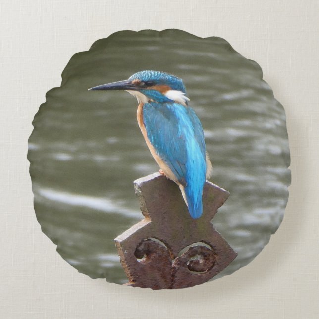 Cute Kingfisher Round Pillow Rund Kudde (Framsidan)