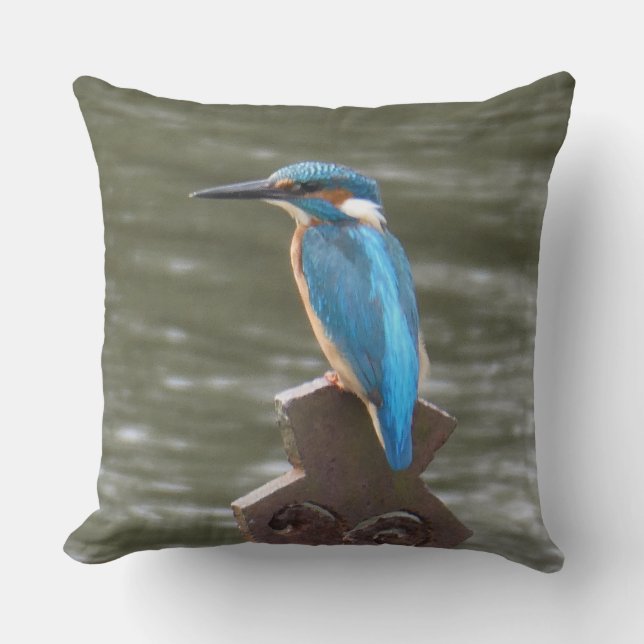 Cute Kingfisher Throw Pillow Kudde (Framsida)