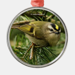 Cute Kinglet Songbird orsakar en stam i bron Julgransprydnad Metall