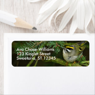 Cute Kinglet Songbird orsakar en stam i bron Returadress Etikett