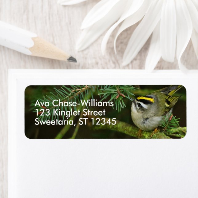 Cute Kinglet Songbird orsakar en stam i bron Returadress Etikett (Insitu)
