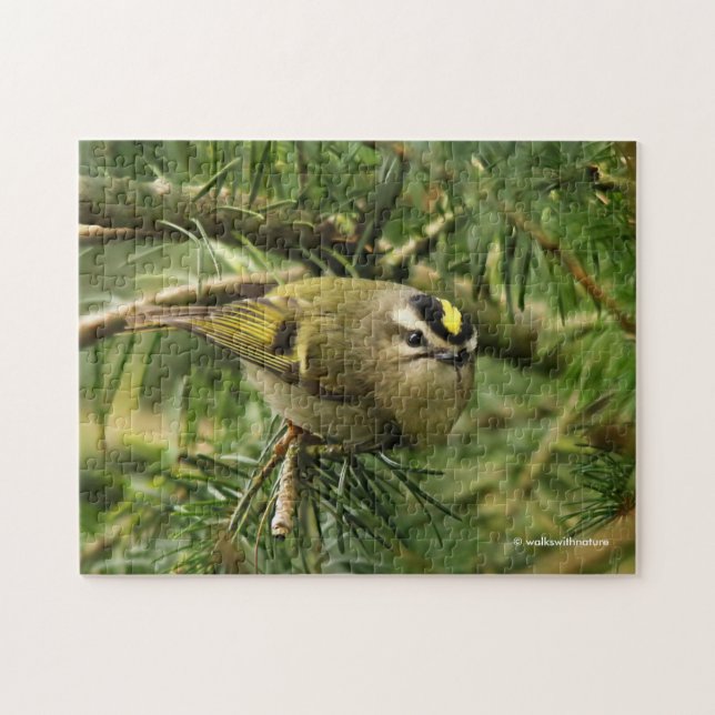 Cute Kinglet Songbird orsakar Stir i bron Pussel (Horisontell)