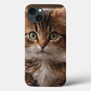 Cute Kitten