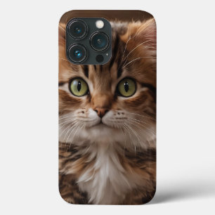 Cute Kitten