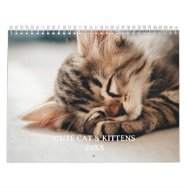 Cute Kitten And Cat Pet Photo Kalender