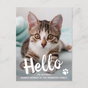 Cute Kitten Anpassningsbar Cat Photo Hej New Pet Meddelande Vykort