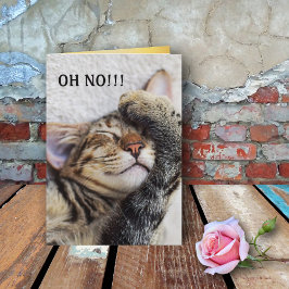 Cute Kitten Belet Birthday Card Kort