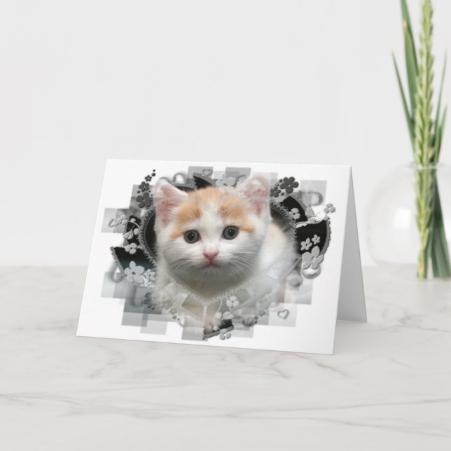 Cute Kitten Blank Greeting Card Kort (Framsida)