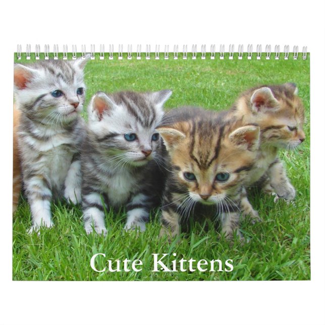 Cute Kitten Calendar Kalender (Omslag)