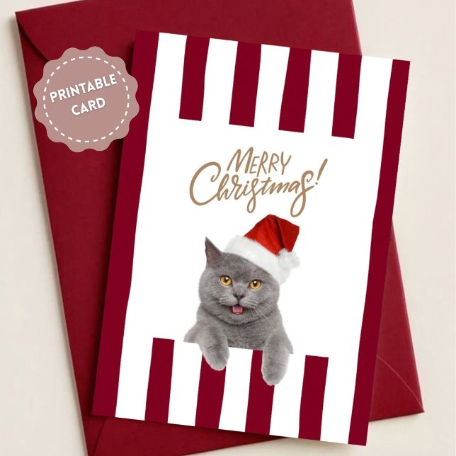 Cute Kitten Christmas Card Kort (Skapare uppladdad)