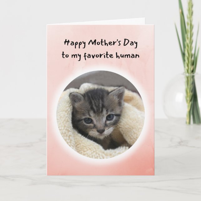 Cute Kitten... Du är min favoritmänniska Mors dag Kort (Framsida)