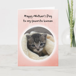 Cute Kitten... Du är min favoritmänniska Mors dag Kort